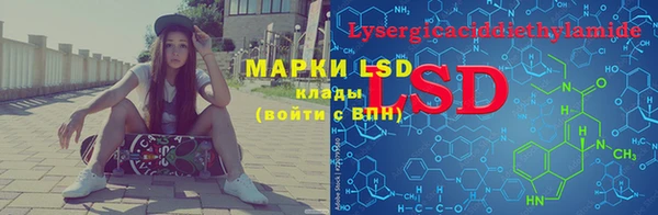 винт Алзамай