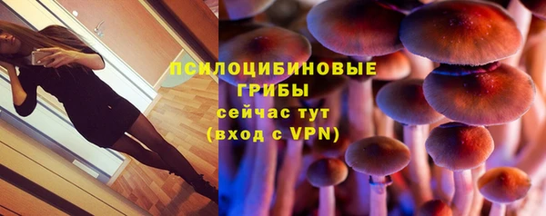 PSILOCYBIN Каменка