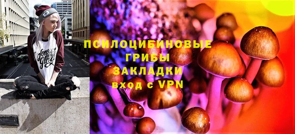 винт Алзамай