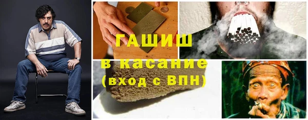 сатива Заводоуковск