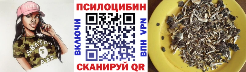 Псилоцибиновые грибы мухоморы  где купить наркоту  Фёдоровский 